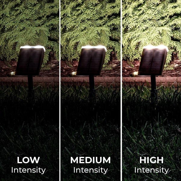 3 Different Light Intensities