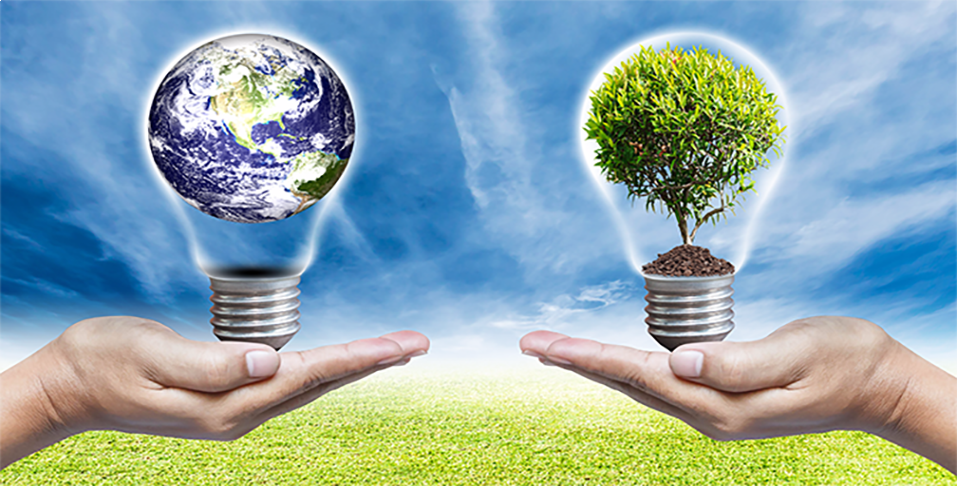 What Is LEED and How Does It Relate to Lighting?