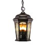 Euri Lighting LED Flicker Flame Hanging Lantern with Water Glass Outdoor Pendant Light with Integrated LED - Bronze