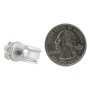  194 LED Bulb - 5 LED Wide Angle Wedge Base: Back View with Size Comparison