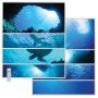 LED Skylight - 2'x4' Tunable White Light Panel - Water Print Collection Skylens® - Drop Ceilings - Dimmable - Boat on Water