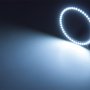 LED Angel Eye Headlight Accent Lights - Black Circuit: On Showing Beam Pattern In Red, Blue, Green, UV, Amber, Natural White, Cool White, And Royal White. 
