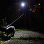 LED Flashlight/Work Light - NEBO SLYDE+ - 300 Lumens: Flashlight Shown Closed Front Firing LED On
