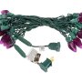 C7 Christmas LED String Lights - Slim Base - 17ft - 25 Retro Faceted Bulbs - Green Wire