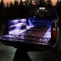 Flexible LED Accent Light Module