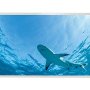 Tunable White LED Skylight w/ Lone Shark Skylens® Diffuser - 2x4 Dimmable LED Panel Light - Drop Ceiling