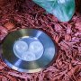 LED In-Ground Well Light - 6 Watt