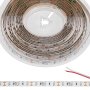 5m Single Color LED Strip Light - HighLight™ Series Tape Light - 12V/24V - IP20