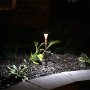 Kichler Tier Lighting