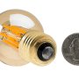 LED Filament Bulb - Gold Tint G16 LED Candelabra Bulb with 4 Watt Filament LED - Dimmable: Back View with Size Comparison