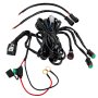 LED Light Wiring Harness with Weatherproof Switch and Relay - Dual Output, DT Connector: 