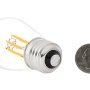 LED Vintage Light Bulb - S14 Shape - Signage Style LED Bulb with Filament LED: Back View 