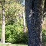LED-Ready Landscape Spotlight - Solid Brass