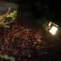 Illuminating Landscaping