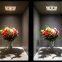 LED In-Ground Well Light - 6 Watt: Warm White Versus Cool White