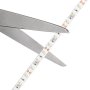 5m White LED Strip Light - HighLight™ Series Tape Light - High CRI - 12V/24V - IP20