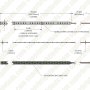 5m White LED Strip Light - HighLight™ Series Tape Light - High CRI - 12V/24V - IP20