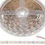 5050 Single-Color LED Strip Light/Tape Light - 12V - IP20 - 385 lm/ft