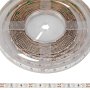 3528 Single-Color LED Strip Light - Custom Length Tape Light - 24V - IP20 - 250 lm/ft