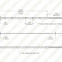 STN-CRGB-O42A-10Z5M-24V Dimensional Drawing