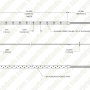 COB2-IP20-RGBW-5m Dimensional Drawing