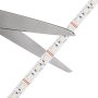 5050 RGBW LED Strip Light - Color-Changing LED Tape Light w/ White and Multicolor LEDs - 12V - IP20 - 122 lm/ft - 4-in-1 Chip