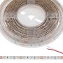 5m Single Color LED Strip Light - Eco™ Series Tape Light - 12V/24V - IP54 Weatherproof