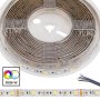5m 5050 RGB+W LED Strip Light - Color Changing + White LED Tape Light - High Density - 24V - IP54