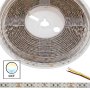 5m 5050 Tunable White LED Strip Light - High Density LED Tape Light - 24V - IP54
