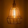 LED Vintage Light Bulb - Gold Tint T14 Shape - Radio Style LED Bulb with Filament LED: Installed in Decorative Cage Fixture