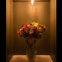LED Vintage Light Bulb - Gold Tint T14 Shape - Radio Style LED Bulb with Filament LED: Turned On In Box
