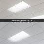 15W T8 Hybrid LED Tube - 2000 Lumens - 4ft - Single End/Dual End - Ballast Compatible/Ballast Bypass Type A/B - 32W Equivalent - 5000K/4000K