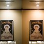 Natural and warm white beams from track-mounted weatherproof PAR36 screw pin LED flood light bulbs on a framed art print