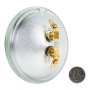 Weatherproof PAR36 LED Bulb - 65 Watt Equivalent - Bi-Pin LED Spotlight Bulb: Back View with Size Comparison