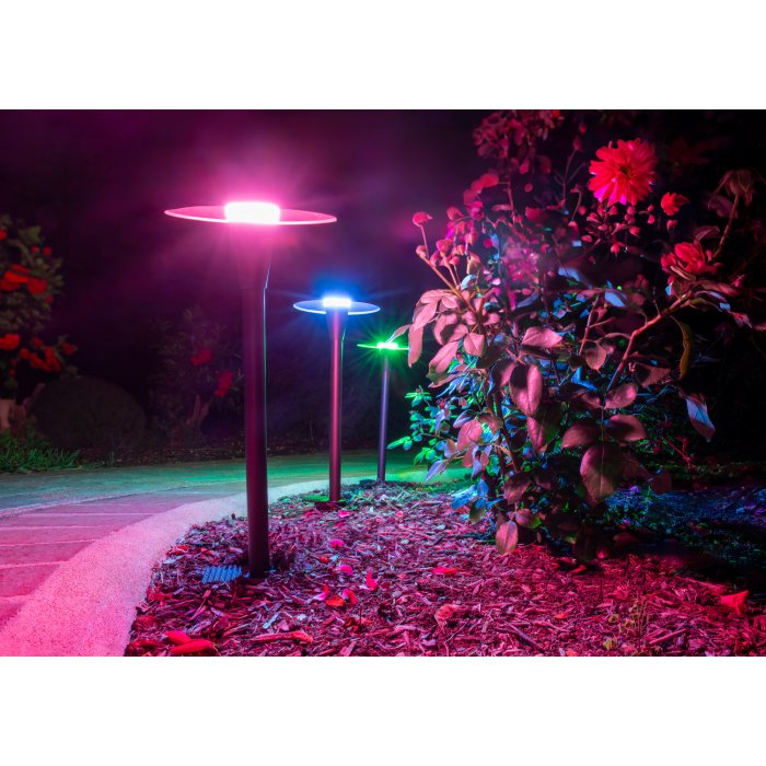 Rgb garden lights outlet