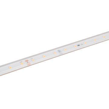 36V White LED Strip Light - High CRI - HighLight Series Tape Light - IP67 - 5M / 30M