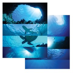 Existing Troffer Replacement Lens - Water Print Collection Skylens® - 2'x4' Decorative Light Panel Replacement
