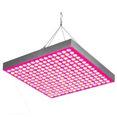 30W LED Grow Light - 2-Band Red/Blue for Indoor Plant Growth - GLS-30W2F