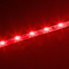 5m Single Color LED Strip Light - Eco Series Tape Light - 12V/24V - IP20 - Red - 196.9in (16.40ft)