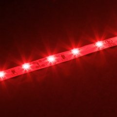 30m Single Color LED Strip Light - Eco Series Tape Light - Contractor Reel - 24V - IP20 - Red - 1181.4in (98.40ft)