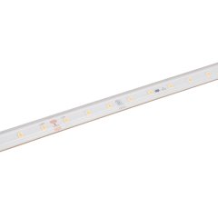 36V White LED Strip Light - High CRI - HighLight Series Tape Light - IP67 - 5M / 30M