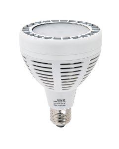 PAR30 LED Bulb, 40W