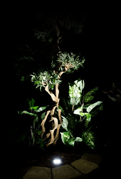 Well Lights