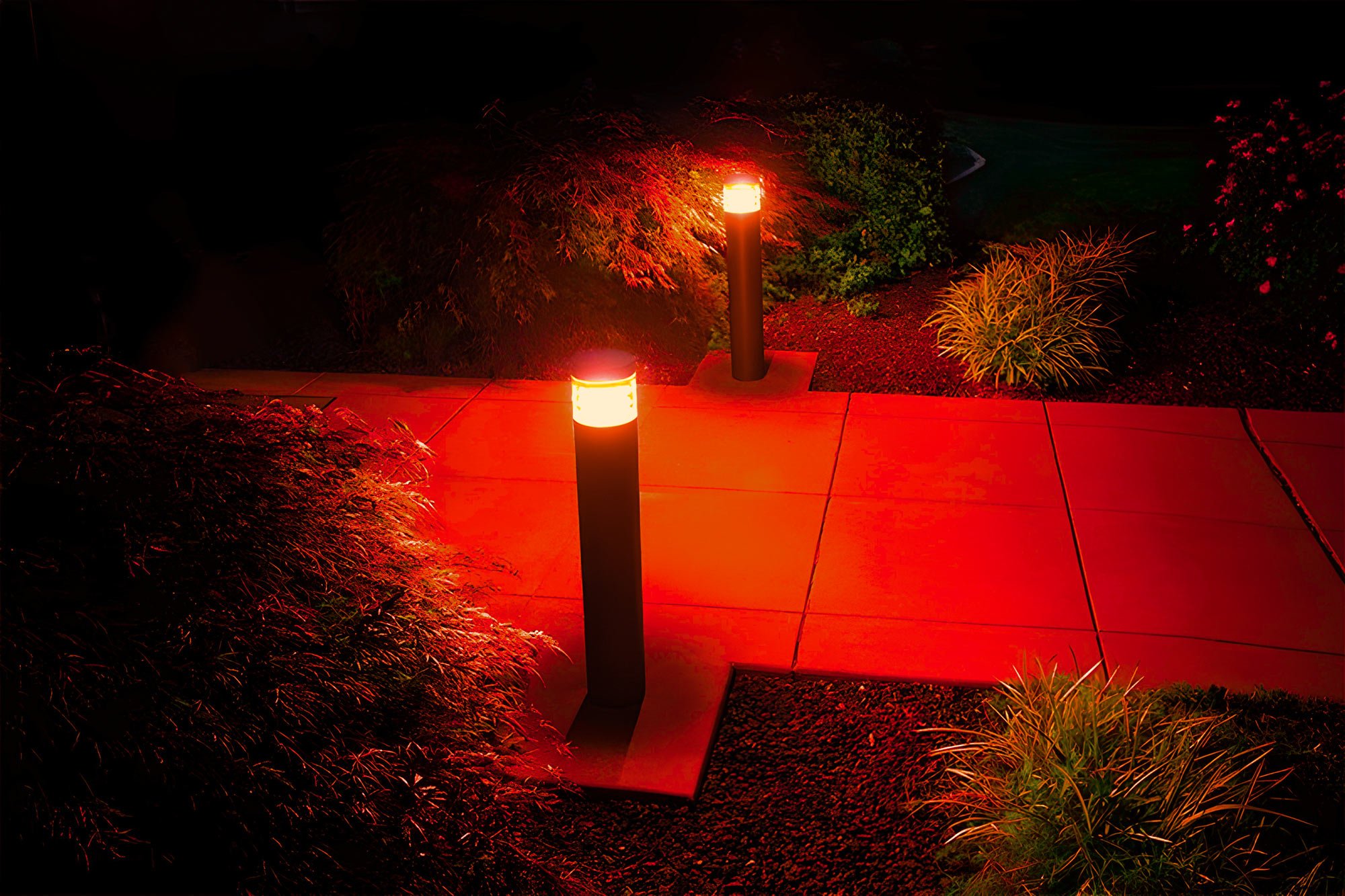 Turtle friendly bollard light at night